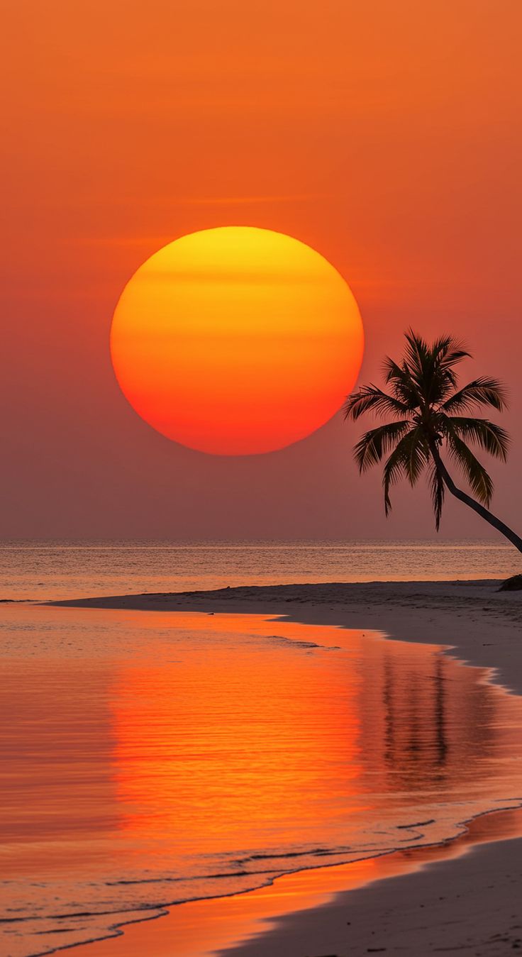 Sunrise View